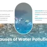 Download Water Pollution Template for free