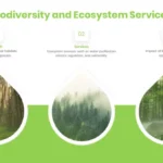 Biodiversity and Ecosystem