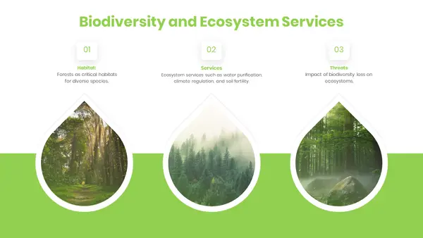 Biodiversity and Ecosystem