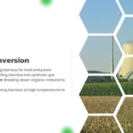 Biomass Energy Conversion