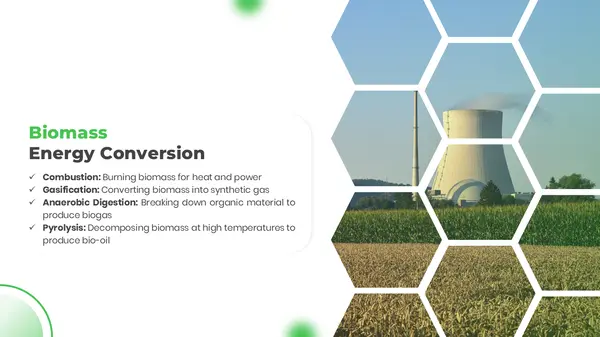 Biomass Energy Conversion