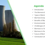 Biomass Presentation PPT