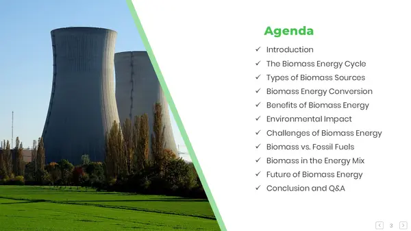 Biomass Presentation PPT