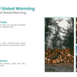 Causes of Global Warming ( Global Warming PowerPoint Presentation)