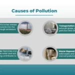 Causes of Pollution Presentation