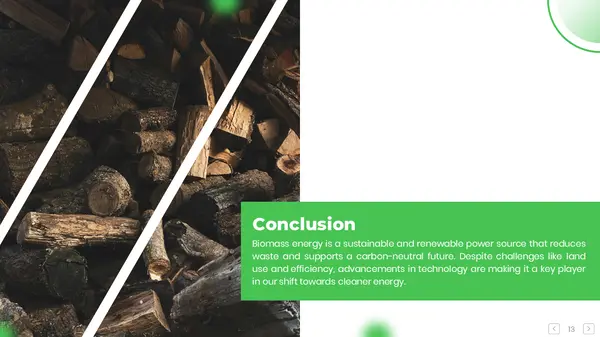Conclusion (Biomass Energy PPT)