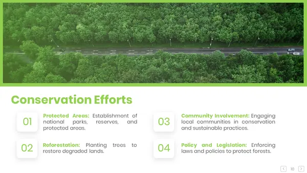 Conservation Efforts