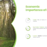 Economic Importance of Forest Presentation