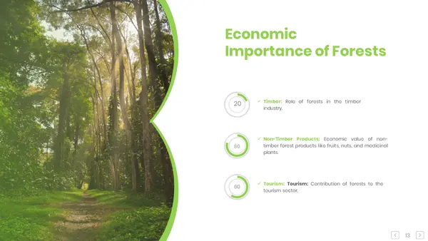 Economic Importance of Forest Presentation