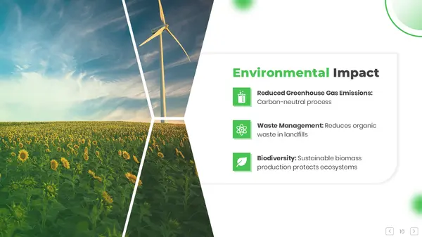 Environmental Impact (Biomass Presentation PPT)