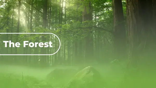 Forest PowerPoint Presentation