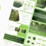 Forest Presentation