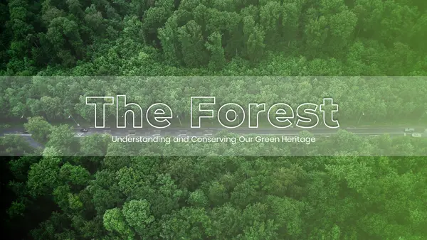 Forest Presentation Templates