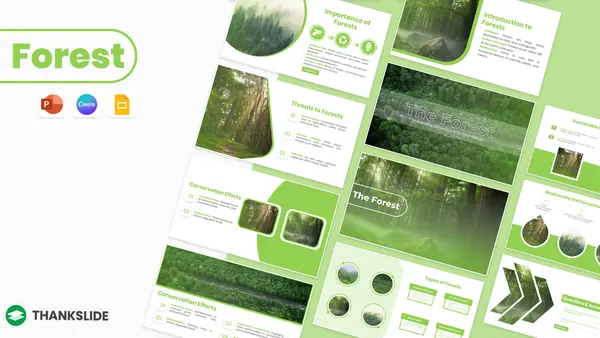 Forest Presentation