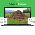 Future of Biomass Energy PPT