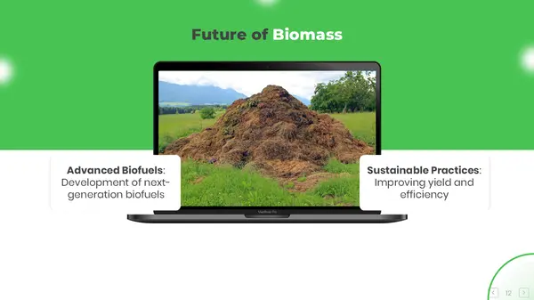 Future of Biomass Energy PPT