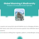 Global Warming Biodiversity