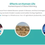 Impacts of Global Warming on Human (Global Warming PowerPoint Presentation)