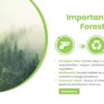Importance of Forest Presentation