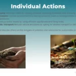 Individual Actions Pollution PPT