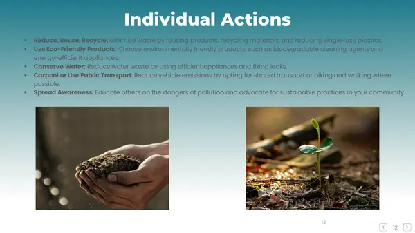 Individual Actions Pollution PPT
