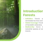 Introduction To Forest Presentations