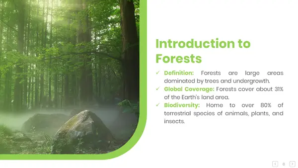 Introduction To Forest Presentations