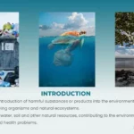 Pollution PPT