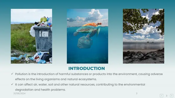Pollution PPT