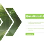Q n A Forest Templates