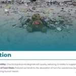 Soil Pollution PPT