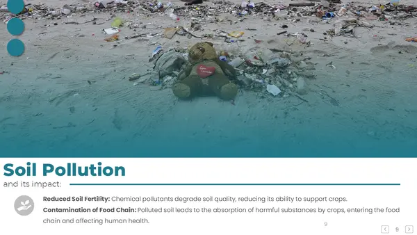 Soil Pollution PPT