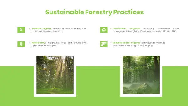 Sustainable Forestry Practices Forest Templates