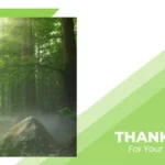 Thank You Slide ( Forest Presentation)