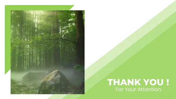 Thank You Slide ( Forest Presentation)