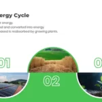 The Biomass Energy Cycle (Biomass PPT)