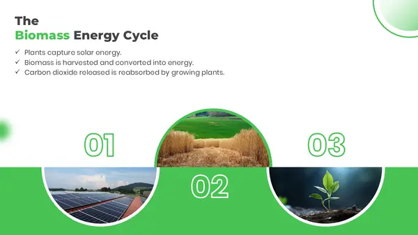 The Biomass Energy Cycle (Biomass PPT)