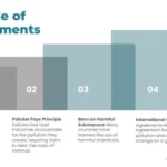 The Role of Governments