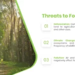 Threats to Forest Templates