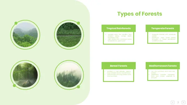 Types Of Forest Templates