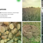 Types of Biomass Sources