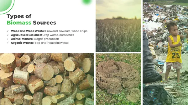 Types of Biomass Sources