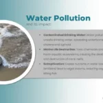 Water Pollution Presentation