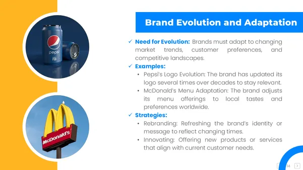 Brand Evolution and Adaptation
