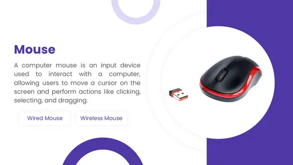 Mouse (Computer Parts PowerPoint Presentation)