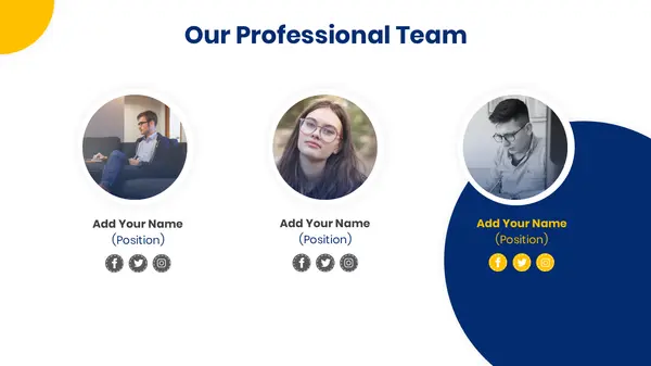 Our Professional Team